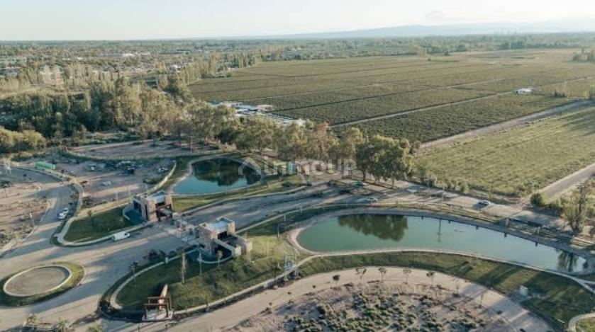 Lote en Venta en Lujan de Cuyo, Mendoza