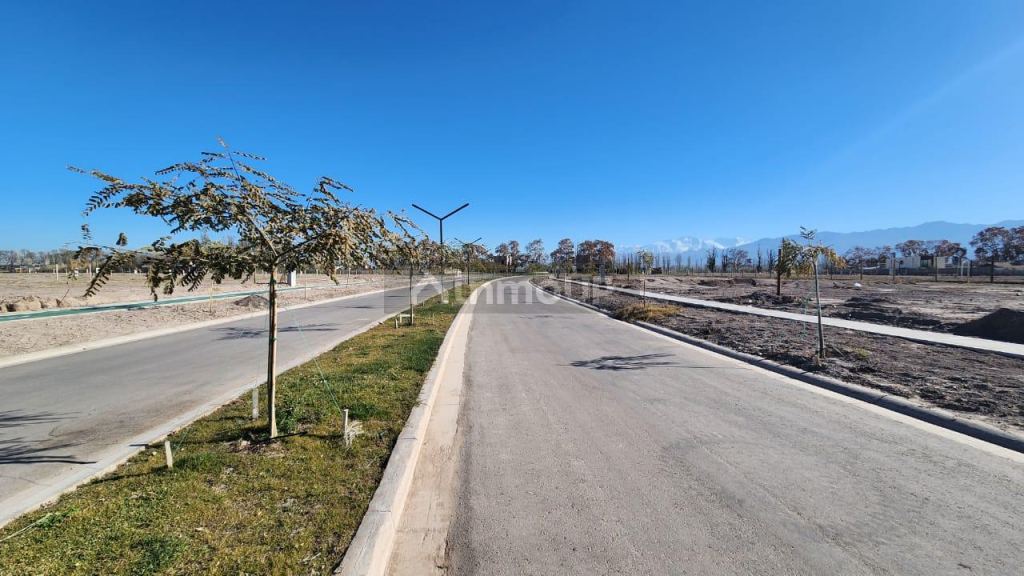 Lote en Venta en Lujan de Cuyo, Mendoza