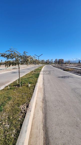 Lote en Venta en Lujan de Cuyo, Mendoza