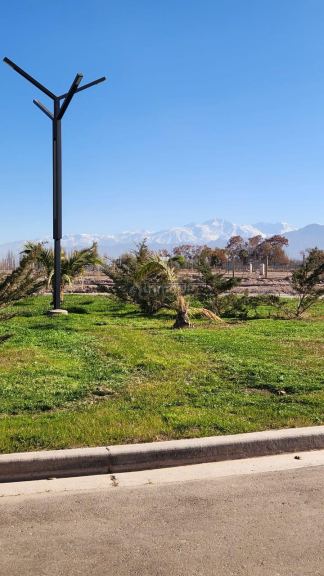 Lote en Venta en Lujan de Cuyo, Mendoza