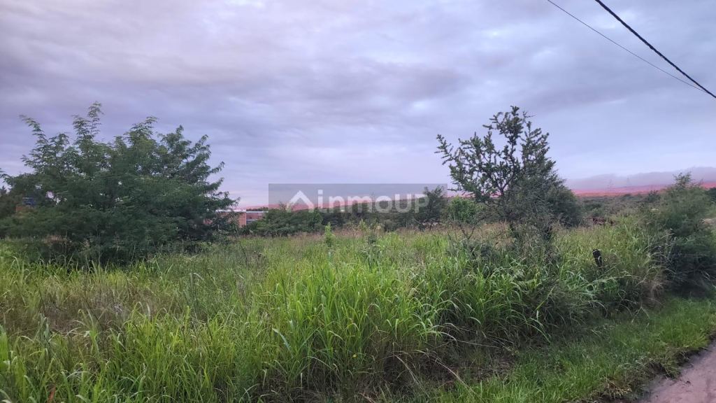 Lote en Venta en San Alberto, Cordoba