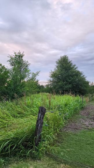 Lote en Venta en San Alberto, Cordoba