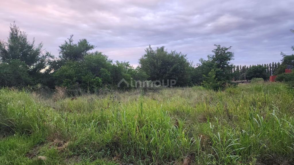 Lote en Venta en San Alberto, Cordoba