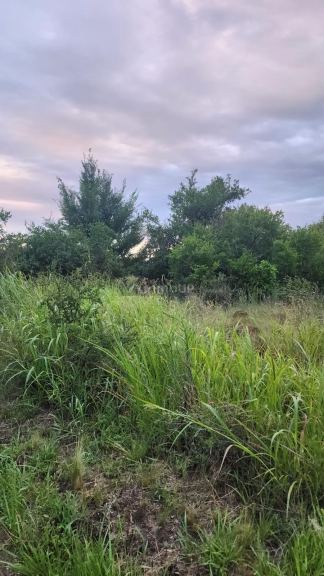 Lote en Venta en San Alberto, Cordoba