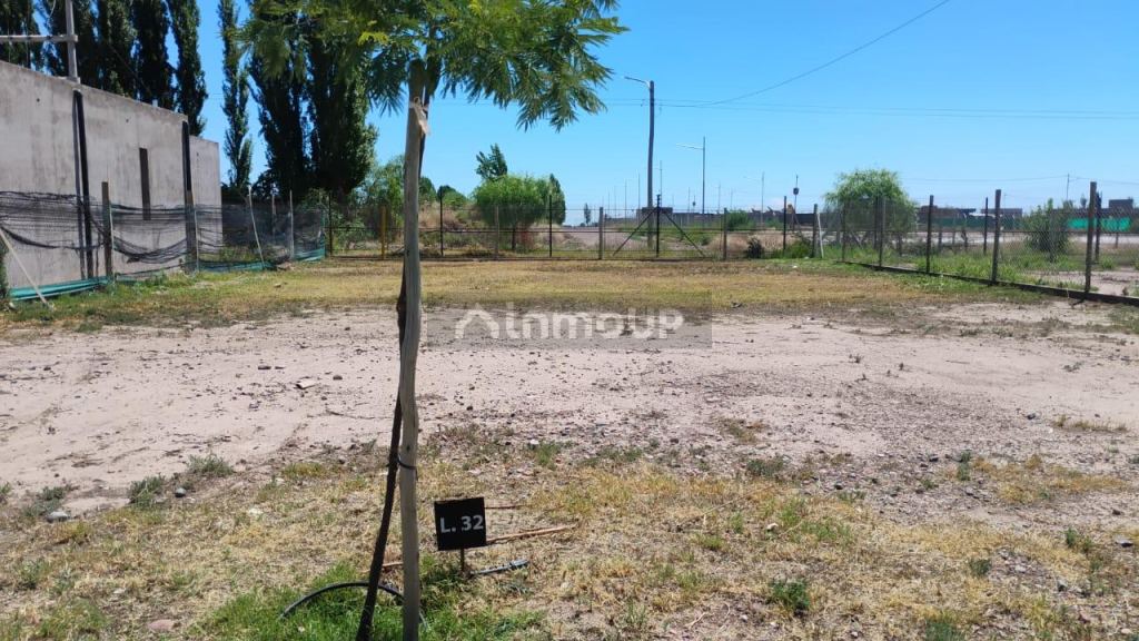 Lote en Venta en Lujan de Cuyo, Mendoza