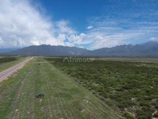 Lujan de Cuyo Ruta 7