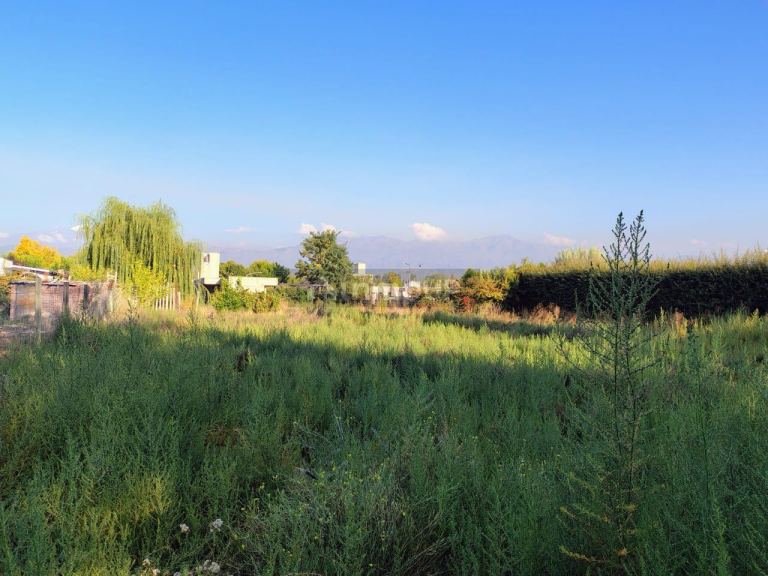 Lote en Venta en Lujan de Cuyo, Mendoza