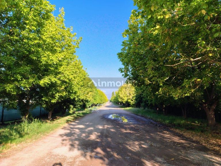 Lote en Venta en Lujan de Cuyo, Mendoza