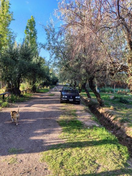 Lote en Venta en Lujan de Cuyo, Mendoza