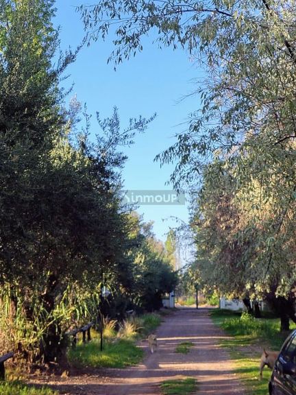 Lote en Venta en Lujan de Cuyo, Mendoza