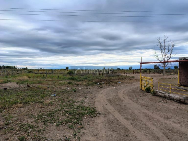 Campo en Venta en Lujan de Cuyo, Mendoza