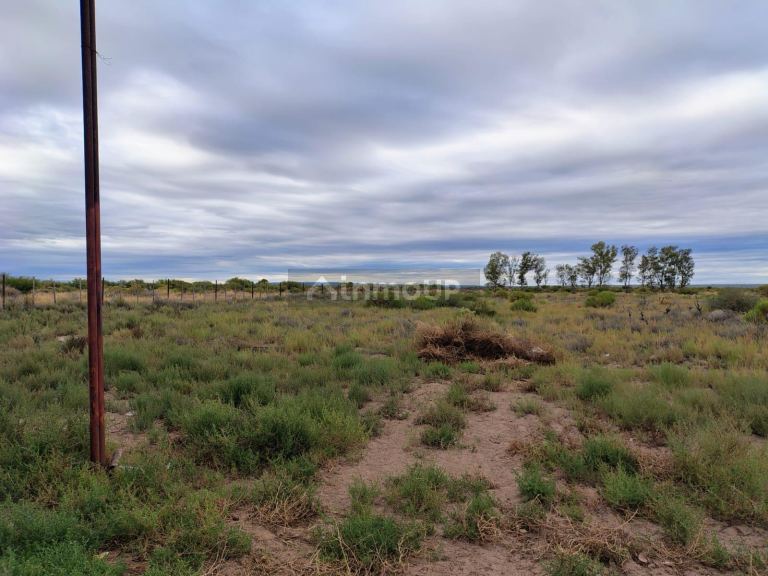 Campo en Venta en Lujan de Cuyo, Mendoza