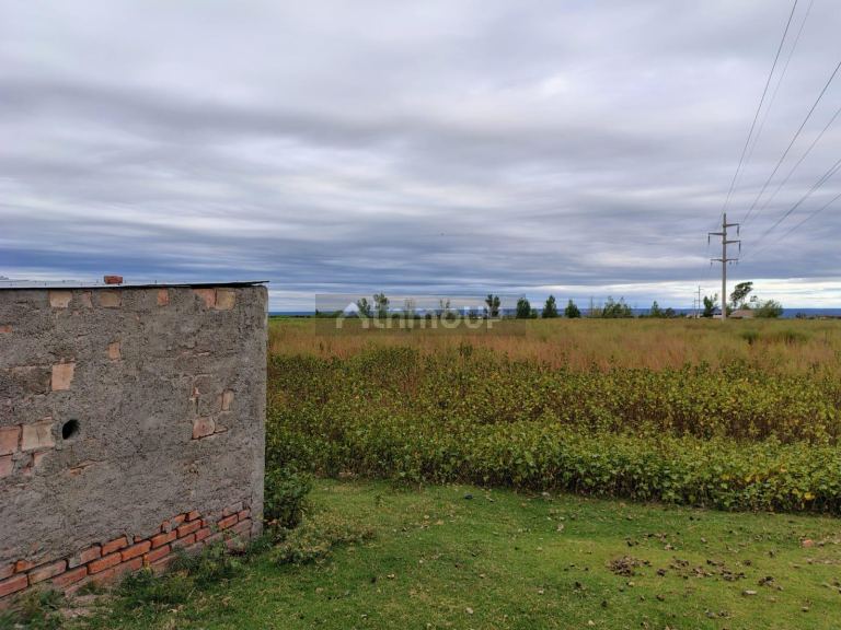 Campo en Venta en Lujan de Cuyo, Mendoza