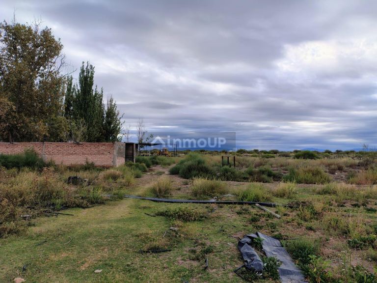 Campo en Venta en Lujan de Cuyo, Mendoza