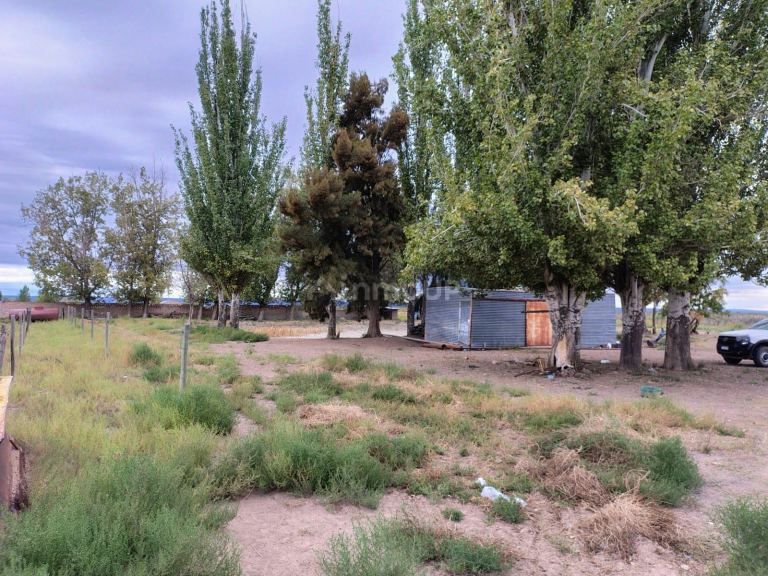 Campo en Venta en Lujan de Cuyo, Mendoza