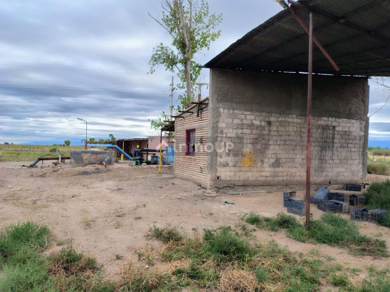 Campo en Venta en Lujan de Cuyo, Mendoza
