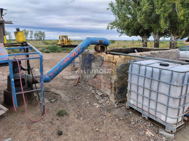 Campo en Venta en Lujan de Cuyo, Mendoza