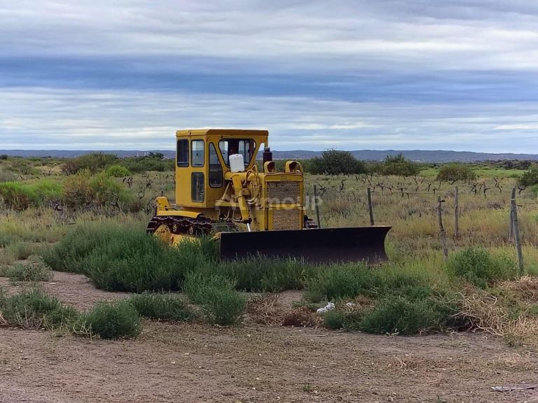 Campo en Venta en Lujan de Cuyo, Mendoza