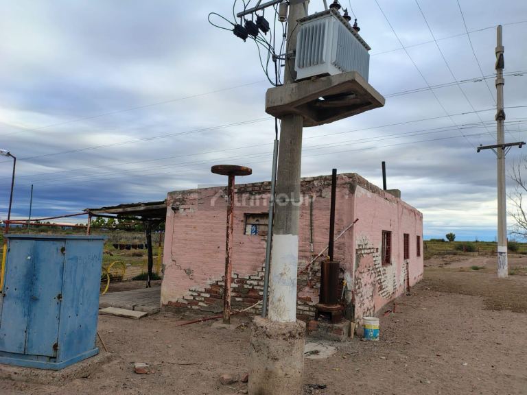 Campo en Venta en Lujan de Cuyo, Mendoza