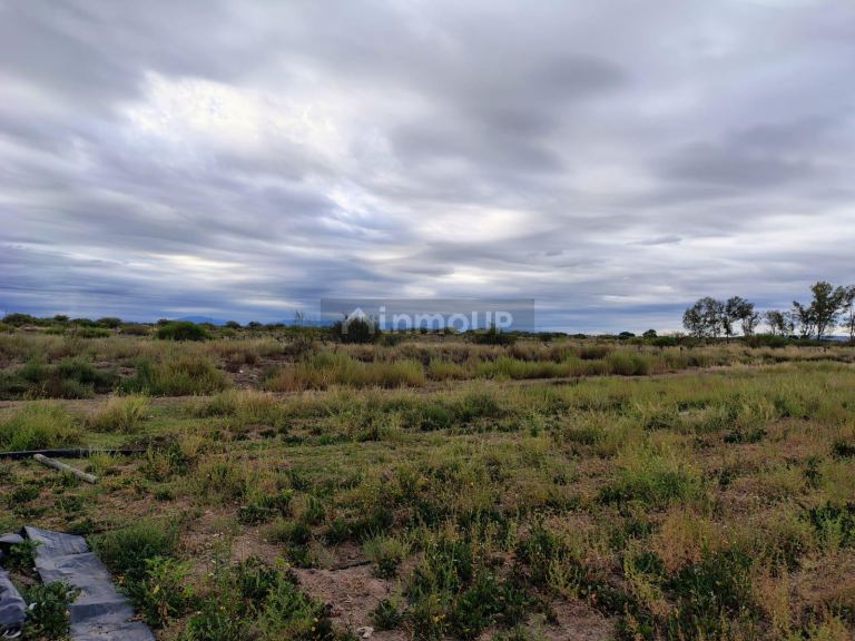 Campo en Venta en Lujan de Cuyo, Mendoza