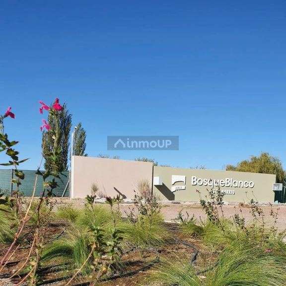 Lote en Venta en Junin, Mendoza