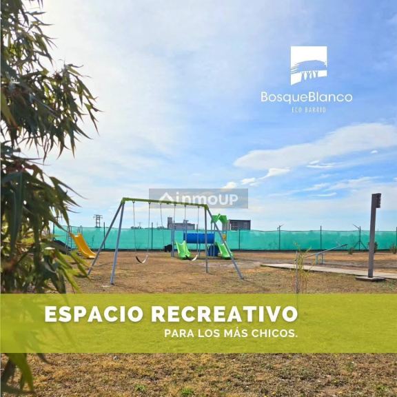 Lote en Venta en Junin, Mendoza