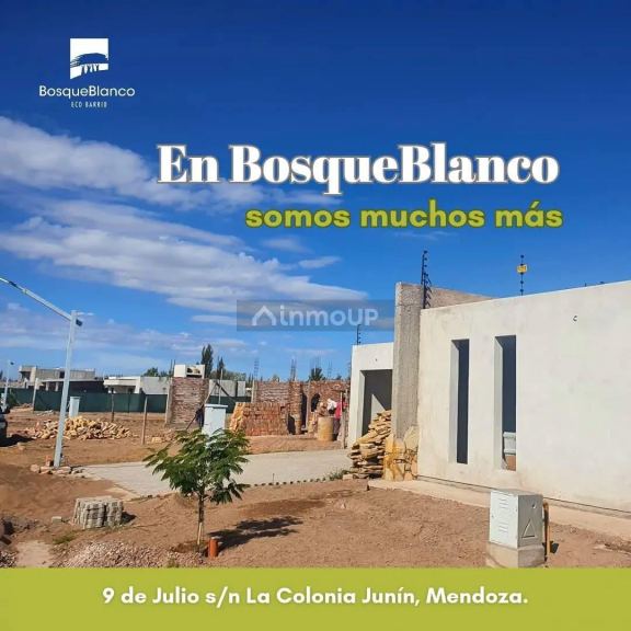 Lote en Venta en Junin, Mendoza