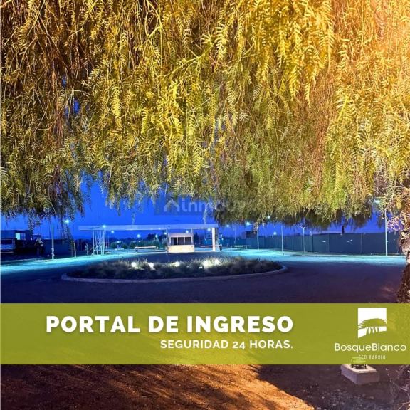 Lote en Venta en Junin, Mendoza