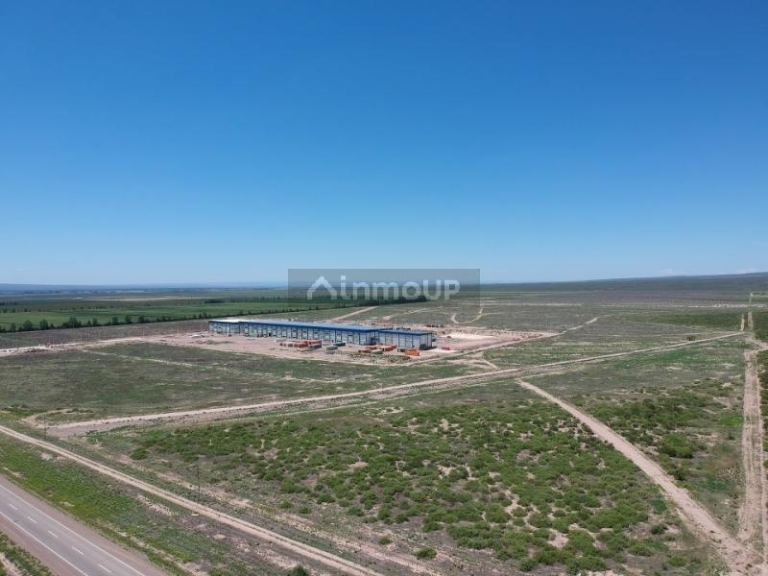 Lote en Venta en Lujan de Cuyo, Mendoza