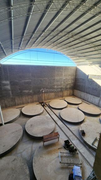 Bodega en Venta en Santa Rosa, Mendoza