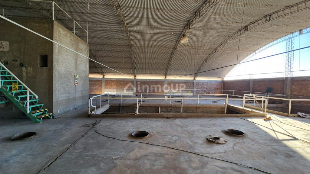 Bodega en Venta en Santa Rosa, Mendoza