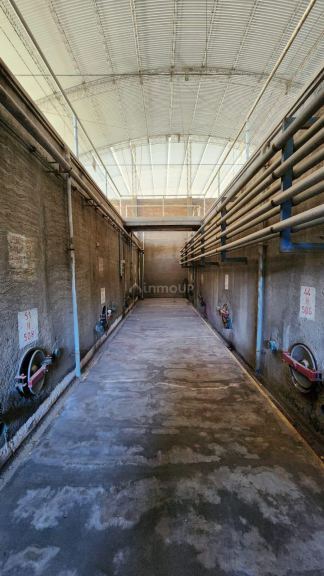 Bodega en Venta en Santa Rosa, Mendoza