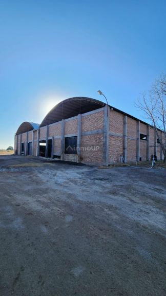 Bodega en Venta en Santa Rosa, Mendoza