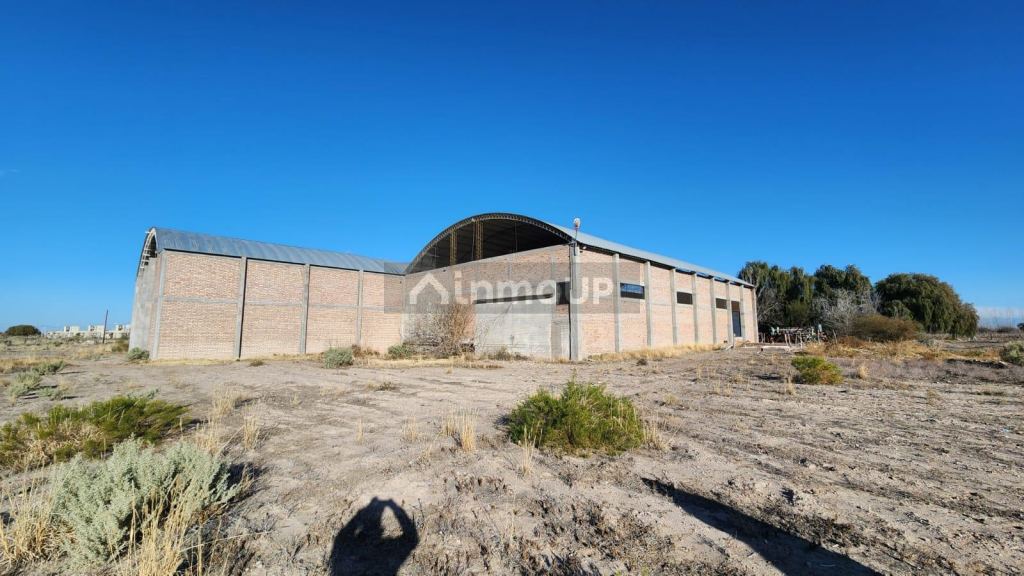 Bodega en Venta en Santa Rosa, Mendoza