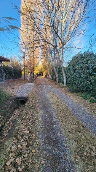 Lote en Venta en Lujan de Cuyo, Mendoza