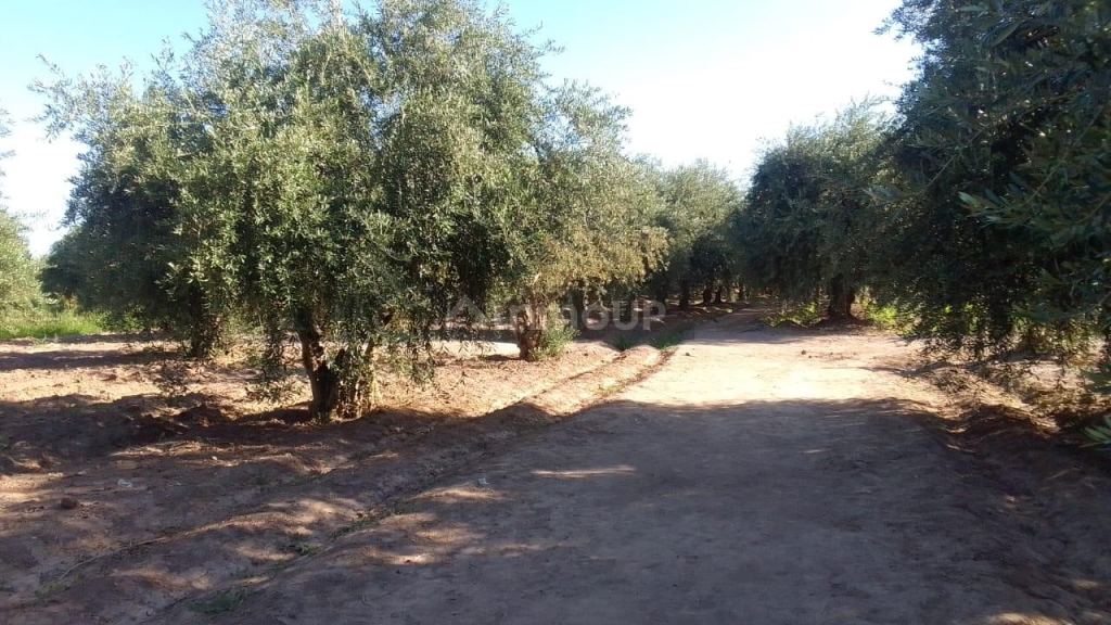 Terreno en Venta en Maipu, Mendoza