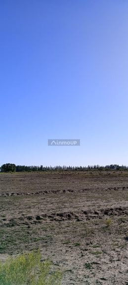 Finca en Venta en San Rafael, Mendoza