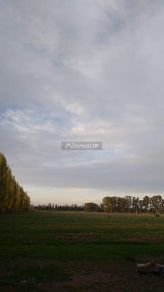 Finca en Venta en San Rafael, Mendoza