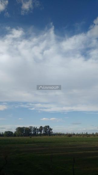 Finca en Venta en San Rafael, Mendoza
