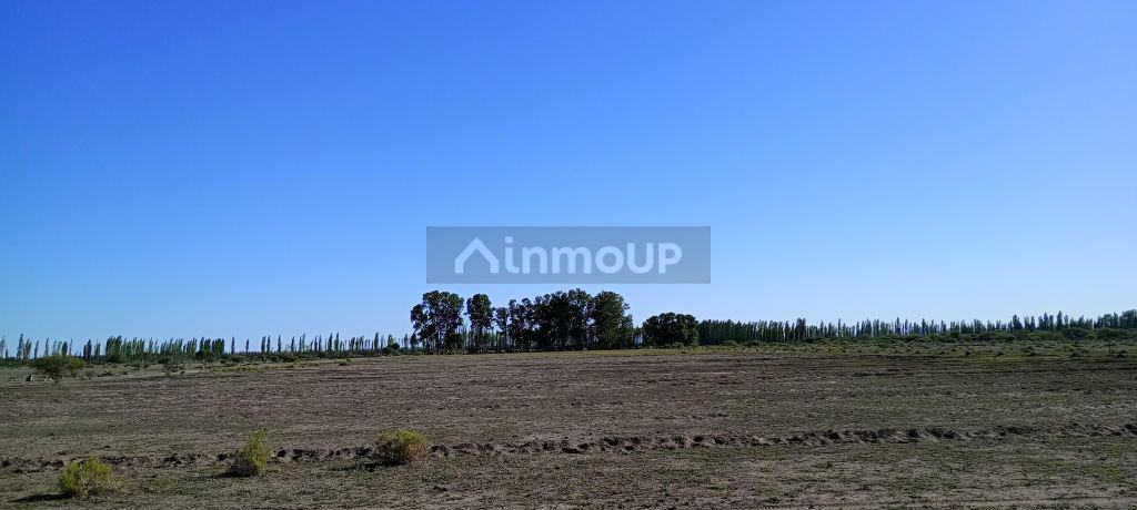 Finca en Venta en San Rafael, Mendoza