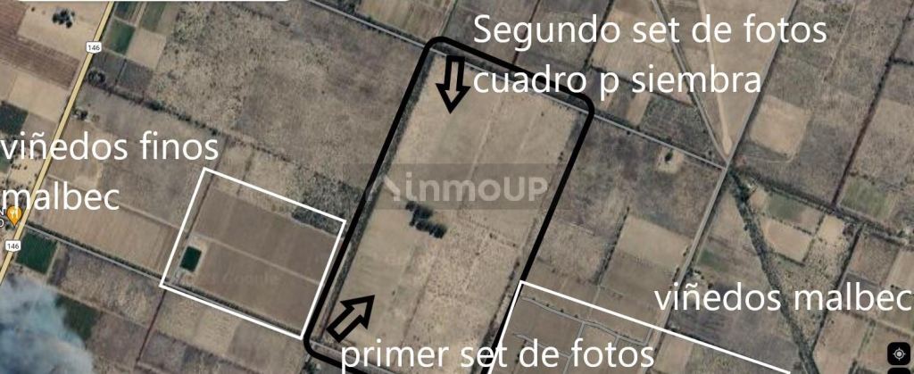 Finca en Venta en San Rafael, Mendoza