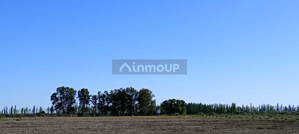 Finca en Venta en San Rafael, Mendoza