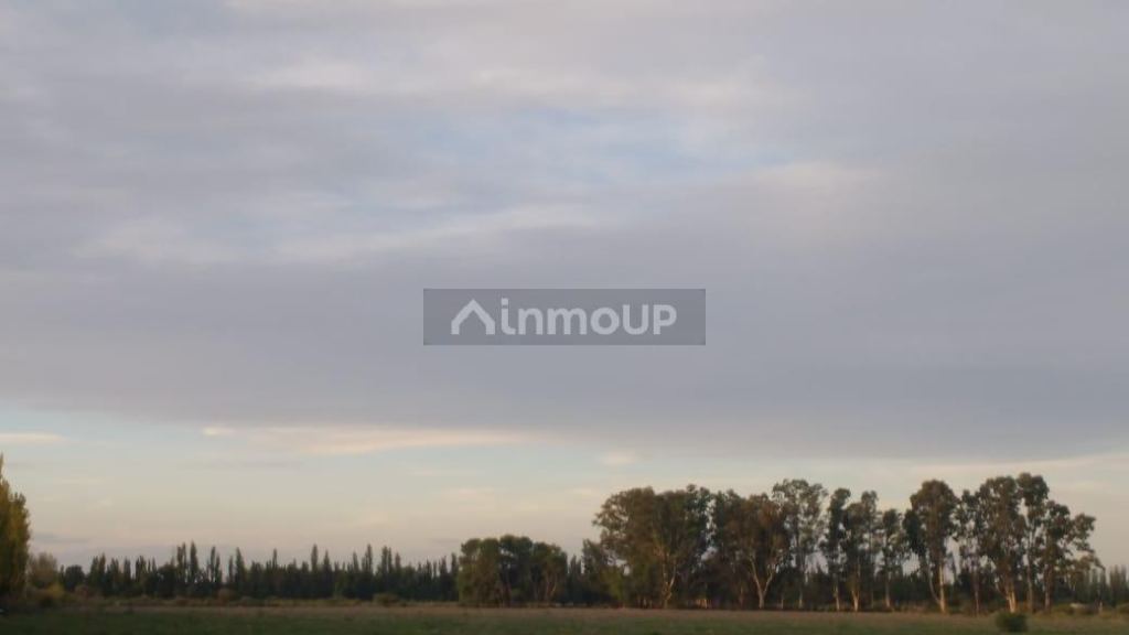 Finca en Venta en San Rafael, Mendoza