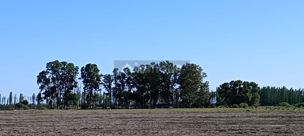 Finca en Venta en San Rafael, Mendoza