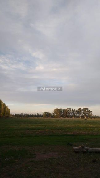 Finca en Venta en San Rafael, Mendoza