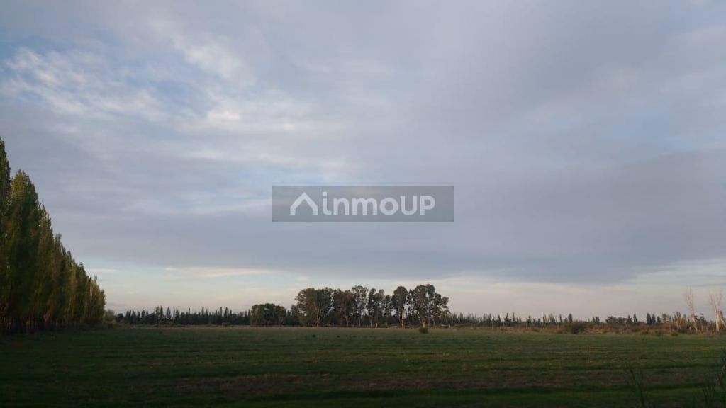 Finca en Venta en San Rafael, Mendoza