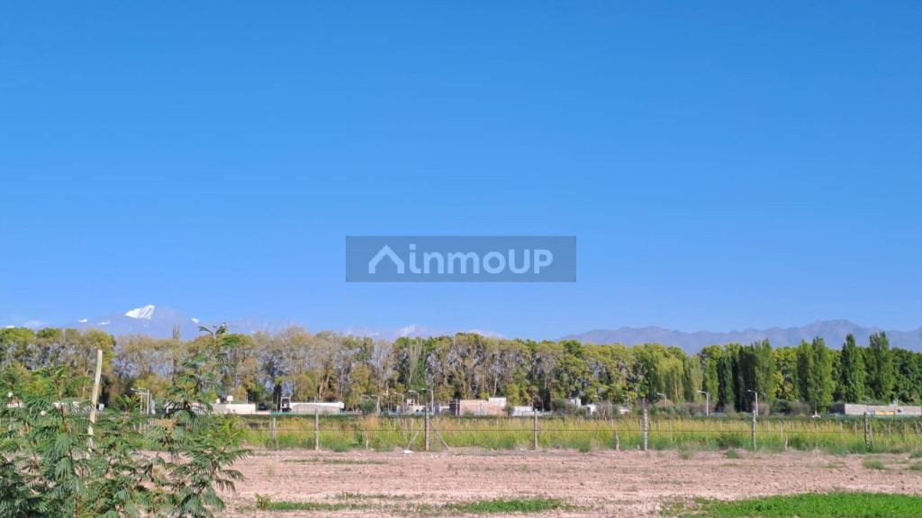 Lote en Venta en Lujan de Cuyo, Mendoza