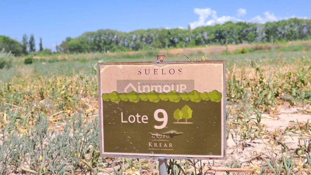 Lote en Venta en Lujan de Cuyo, Mendoza