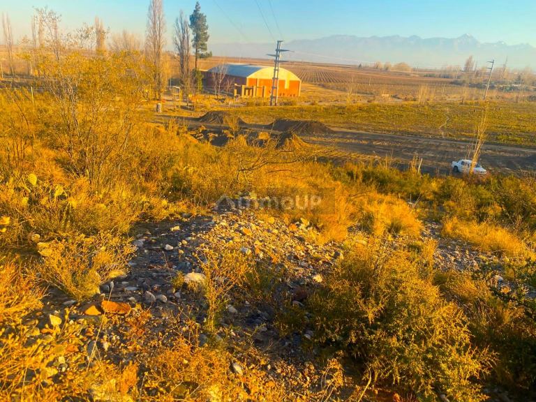Terreno en Venta en Tupungato, Mendoza