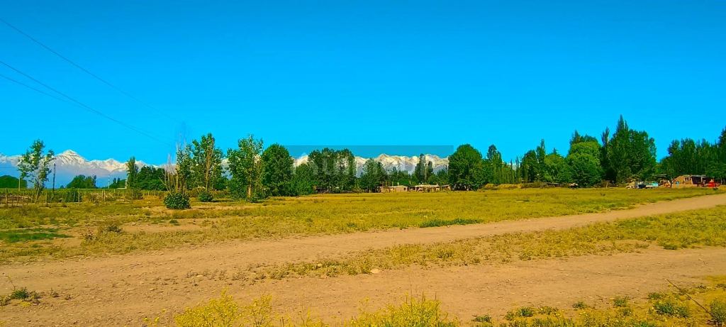 Terreno en Venta en Tupungato, Mendoza